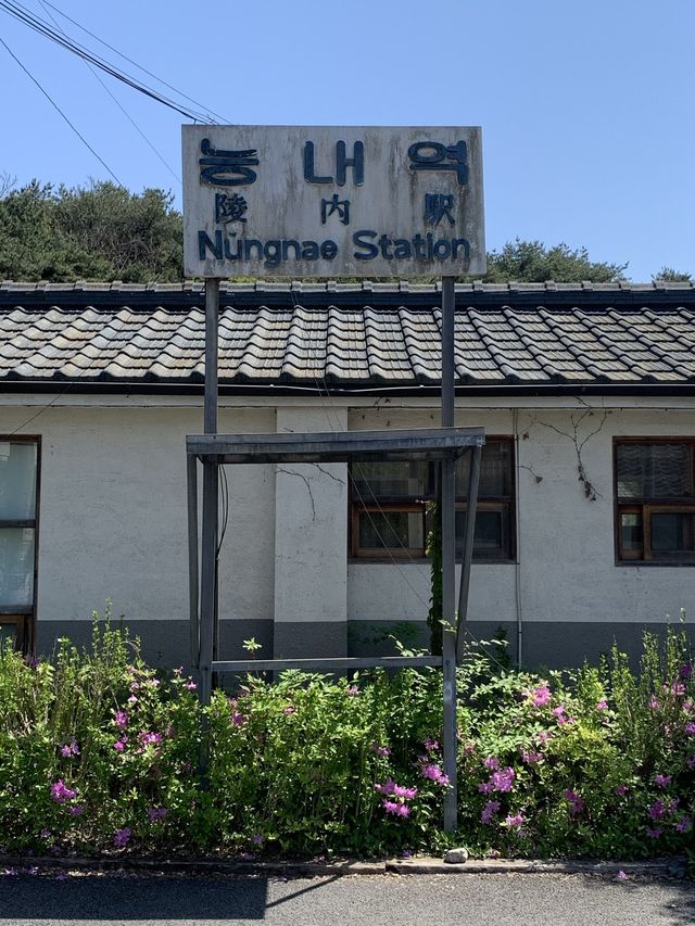 서울근교 과거와 현재가 함께하는 남양주 폐역 ‘능내역‘ 
