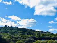 Blue Blue Sky Green Green Grass💙🤭