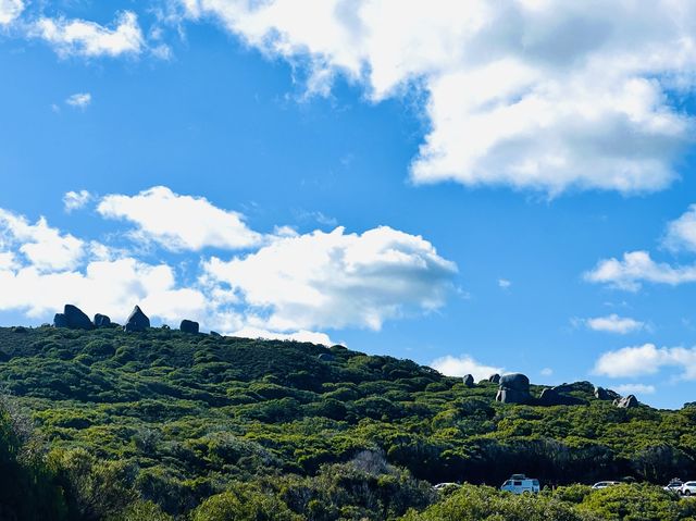 Blue Blue Sky Green Green Grass💙🤭