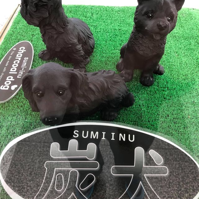 伊豆急行終點站👍🏻鄉村半日遊❤️伊豆半島美景😍😍下田市