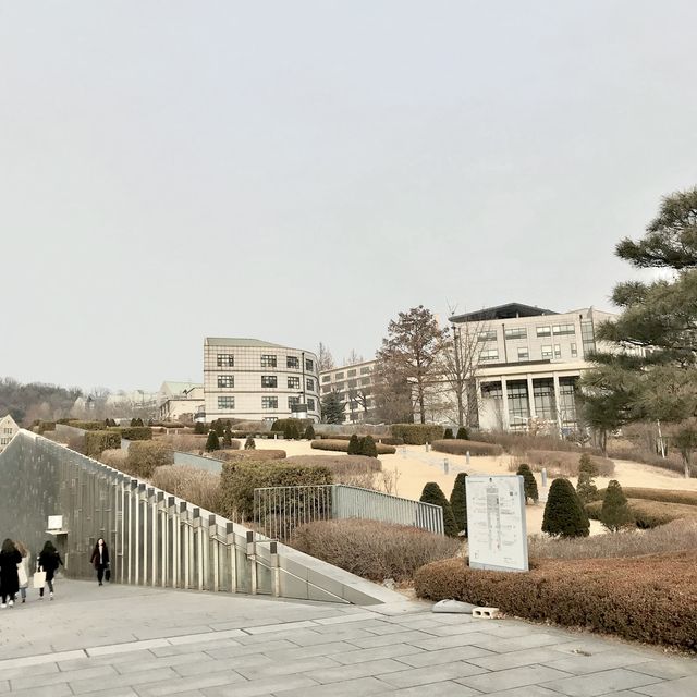 The most beautiful campus in Korea😱🫶🏻💞