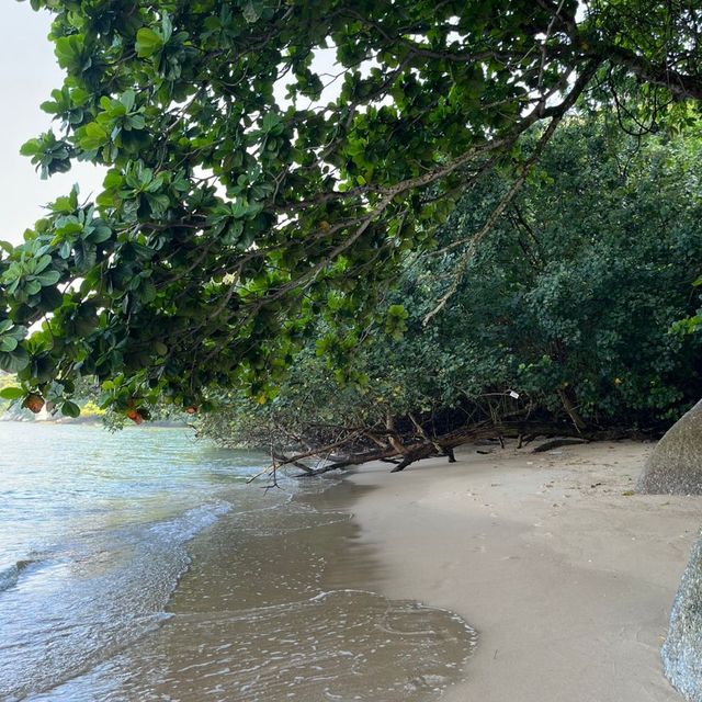 Paradox Hill : Brings You to Hidden Beach 