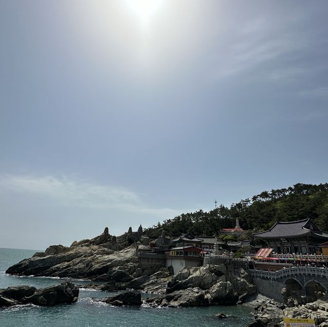 釜山大江大海的海東龍宮寺🐲🐉