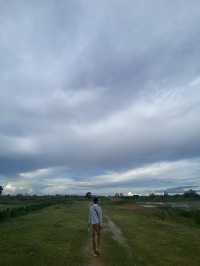 หนองสมอ(ทาม)
