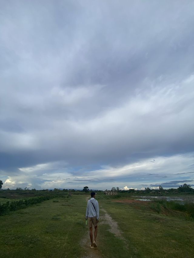 หนองสมอ(ทาม)