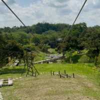 Fun Zipline Activities in Borneo Happy Farm