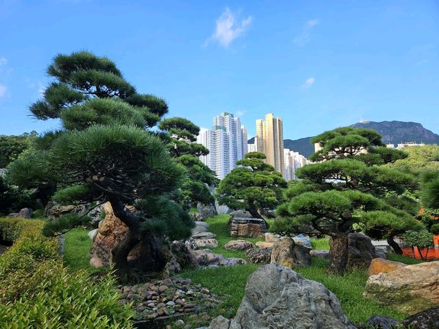 位於市中心的世外桃源