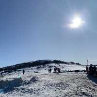 Snow in July - Perisher Valley