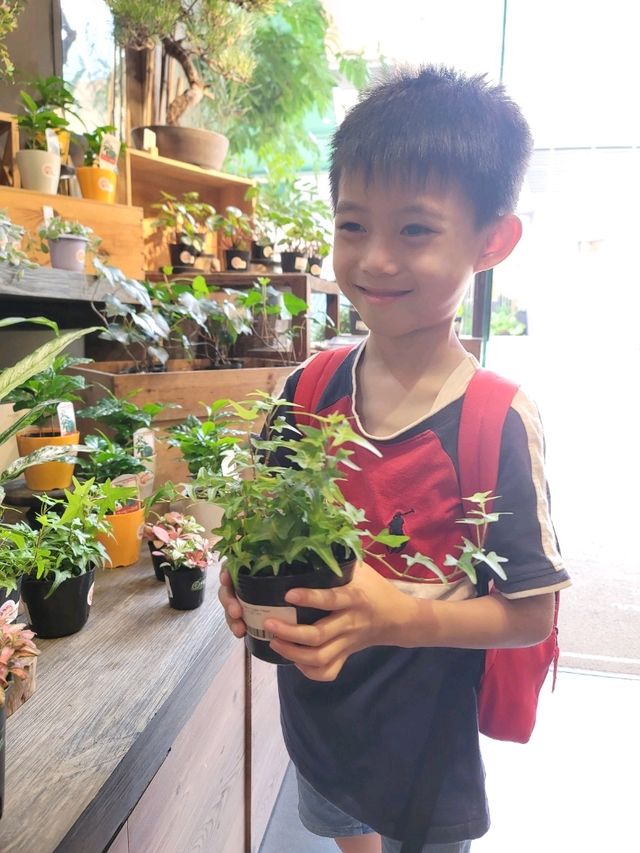 帶綿綿行花墟 帶綿綿行花墟