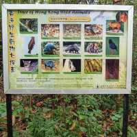 漁港風情！馬屎洲地質公園采風之遊 ！