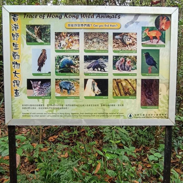 漁港風情！馬屎洲地質公園采風之遊 ！