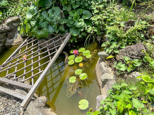 ゆったりした古民家カフェ