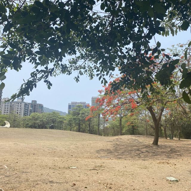 高雄景點 龍貓隧道