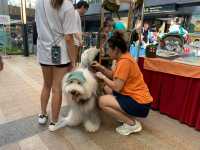 SingaPAW Weekend 58