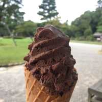金澤兼六園 日式宮廷園景🗾