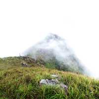 香港🇭🇰 ｜香港第二高山峰 （行山篇）🥾 - 鳳凰山
