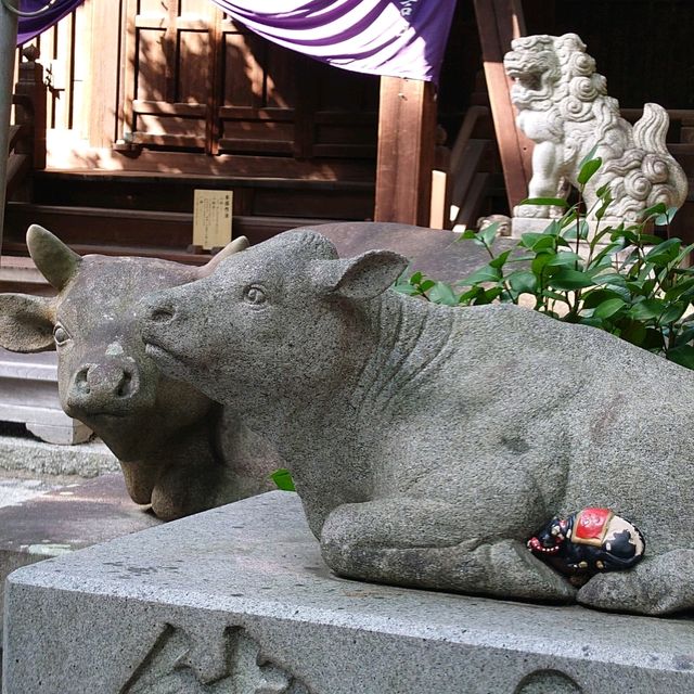 愛知旅行！名古屋「有松天満社」