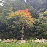 Seoraksan National Park