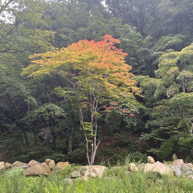 Seoraksan National Park