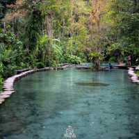 ป่าต้นน้ำบ้านน้ำราด จ.สุราษฎร์ธานี