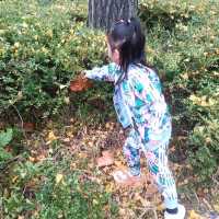 韓國必去免費親子遊 - 兒童大公園