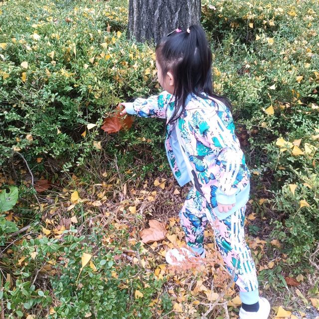 韓國必去免費親子遊 - 兒童大公園