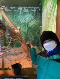 親子遊必去！ #伊豆仙人掌動物園