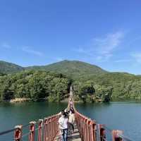 출렁다리 위에서 바라보는 고요한 호수