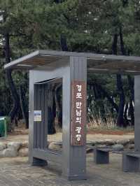 강릉하면 빠질 수 없는