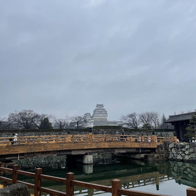 日本🇯🇵三大名城之一‼️國寶雪白姬路城🥹冬日浪漫💕日本🗾城