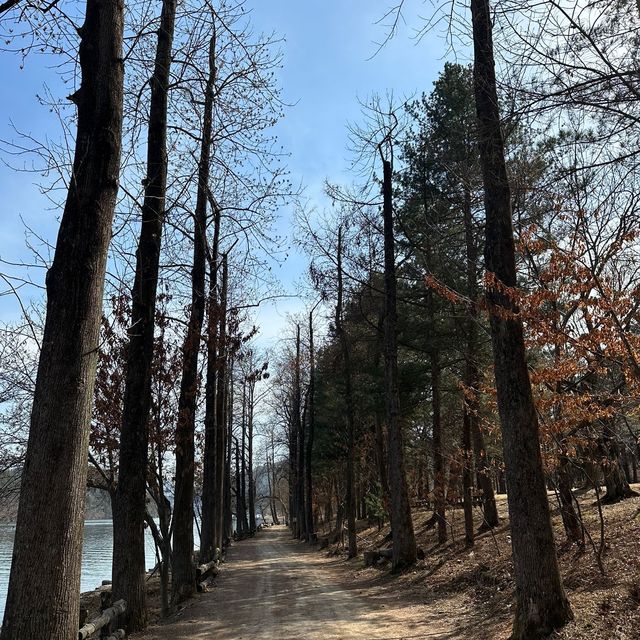 【 草泥馬牧場+南怡島+江村鐵路一天遊 】