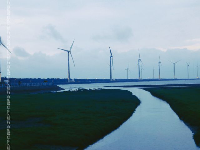 2023 台中景點更新附行程分享