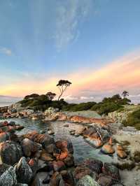 Tasmania is underrated! + MILKY WAY! (part 2)