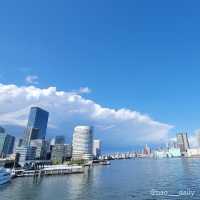 【クルーズ船で 🛳️ 東京湾を一望】