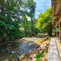 Amazing view & delicious foods in Bukit Tinggi!