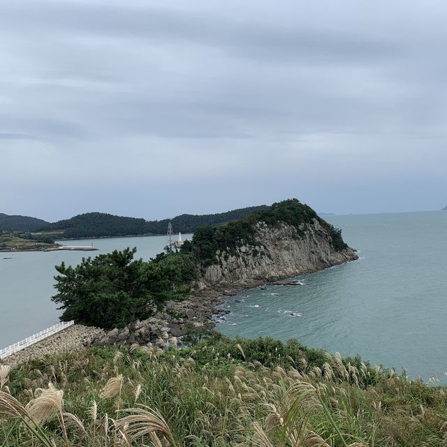 귀여운 고양이를 만날 수 있는 곳, 고흥쑥섬