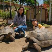 【 近距離親親小動物。神戶動物王國 】