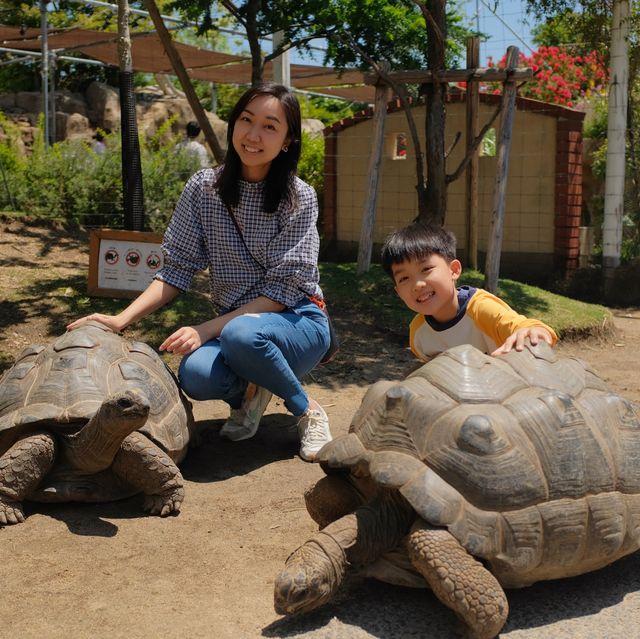 【 近距離親親小動物。神戶動物王國 】