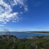 Hiking in Naturaliste Park, Margaret River 