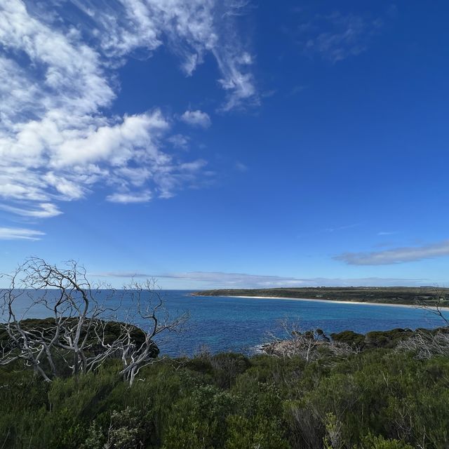 Hiking in Naturaliste Park, Margaret River 