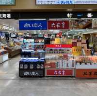 【北海道】大自然への玄関口！女満別空港！