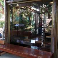 คาเฟ่ ที่มีต้นไม้ร่มรื่น สไตล์ญี่ปุ่น
