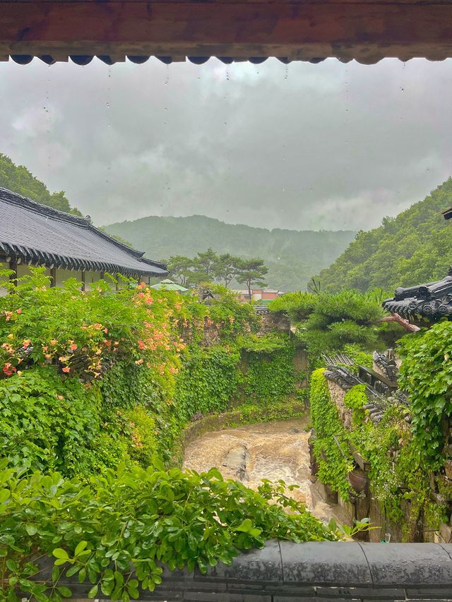 경기 광주 한옥마을 한옥카페 새오개길39