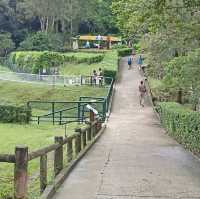 漁港風情！馬屎洲地質公園采風之遊 ！