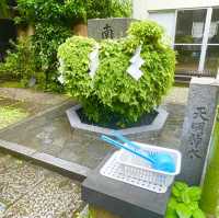 【東京都/東神社】数少ない東京での湧水溢れる神社