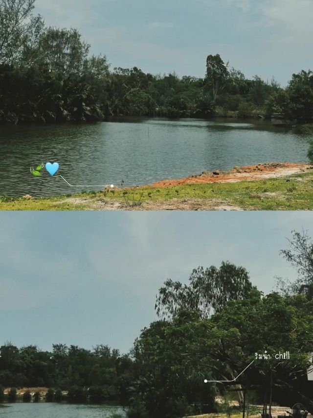 Baanpat คาเฟ่สุดชิล ลมเย็นสบาย @Rayong