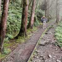 Take a trail stroll! 