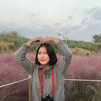 매년 10월 상암 하늘공원에서 볼 수 있는 억새축제🌾🌾