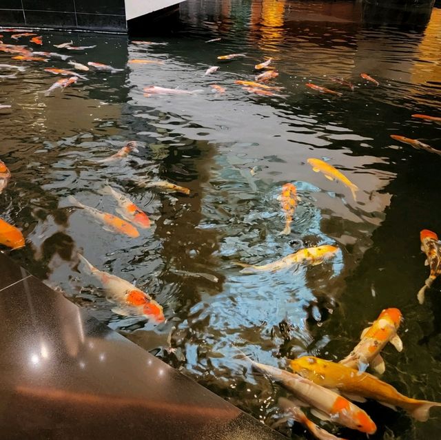 The Fullerton Hotel Surroundings