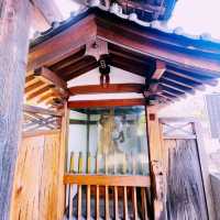 【長野県/美しい紅葉🍁と庭園を縁側から眺められるお寺】
